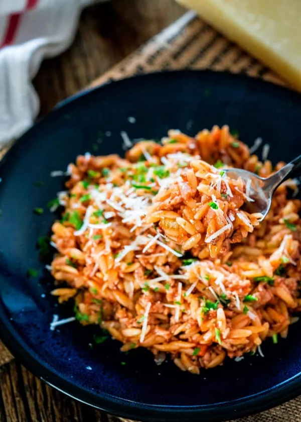 Ragu de curcan cu paste orzo
